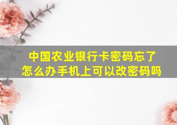 中国农业银行卡密码忘了怎么办手机上可以改密码吗