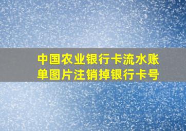 中国农业银行卡流水账单图片注销掉银行卡号