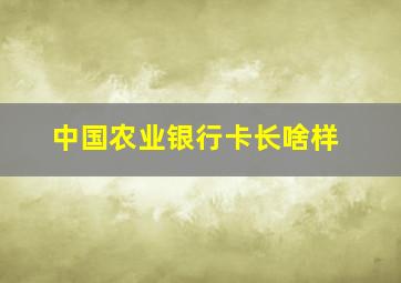 中国农业银行卡长啥样