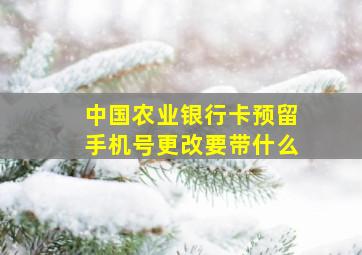 中国农业银行卡预留手机号更改要带什么