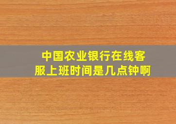 中国农业银行在线客服上班时间是几点钟啊