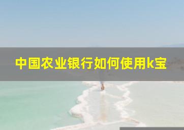 中国农业银行如何使用k宝