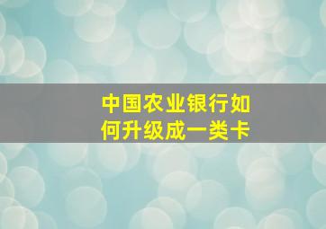 中国农业银行如何升级成一类卡