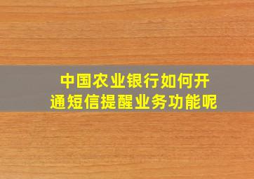 中国农业银行如何开通短信提醒业务功能呢