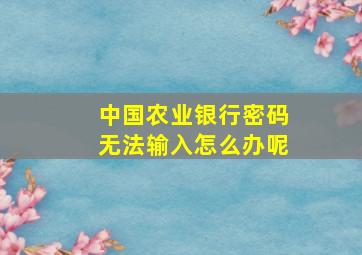 中国农业银行密码无法输入怎么办呢