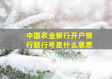 中国农业银行开户银行联行号是什么意思