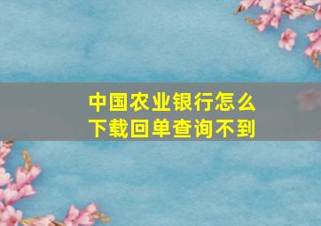 中国农业银行怎么下载回单查询不到