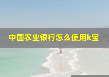 中国农业银行怎么使用k宝