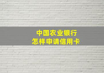 中国农业银行怎样申请信用卡