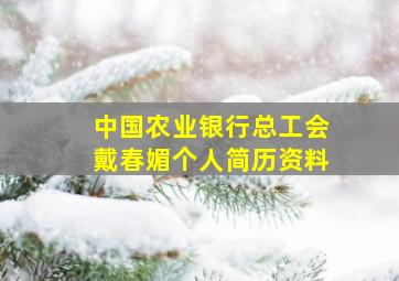 中国农业银行总工会戴春媚个人简历资料