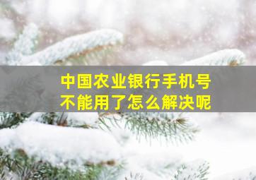 中国农业银行手机号不能用了怎么解决呢