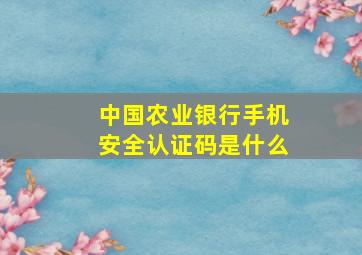 中国农业银行手机安全认证码是什么