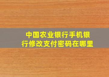 中国农业银行手机银行修改支付密码在哪里