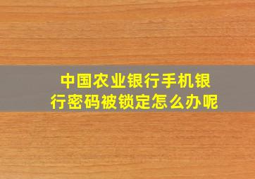 中国农业银行手机银行密码被锁定怎么办呢