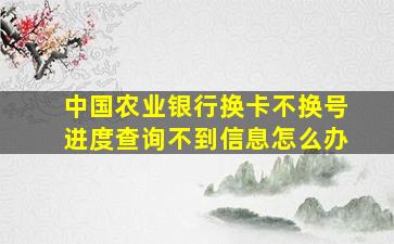 中国农业银行换卡不换号进度查询不到信息怎么办