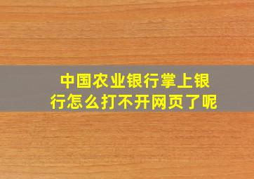 中国农业银行掌上银行怎么打不开网页了呢