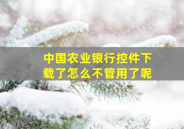 中国农业银行控件下载了怎么不管用了呢