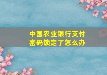 中国农业银行支付密码锁定了怎么办