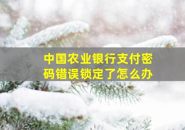 中国农业银行支付密码错误锁定了怎么办