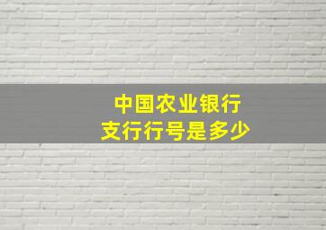 中国农业银行支行行号是多少