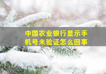 中国农业银行显示手机号未验证怎么回事