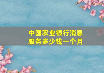 中国农业银行消息服务多少钱一个月