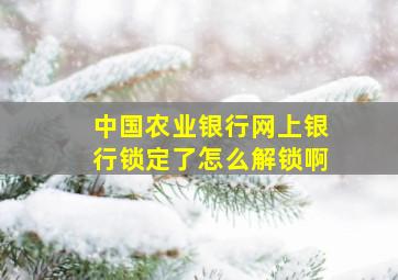 中国农业银行网上银行锁定了怎么解锁啊