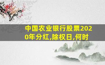 中国农业银行股票2020年分红,除权日,何时