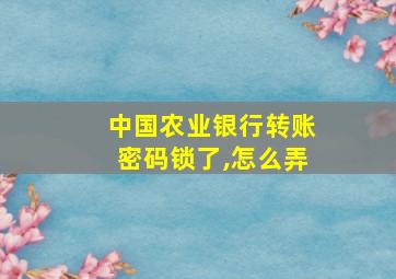 中国农业银行转账密码锁了,怎么弄