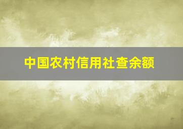 中国农村信用社查余额