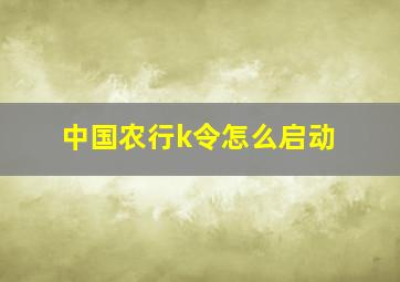 中国农行k令怎么启动