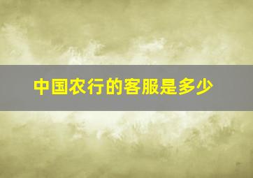 中国农行的客服是多少