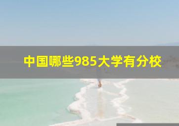 中国哪些985大学有分校