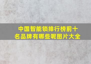 中国智能锁排行榜前十名品牌有哪些呢图片大全