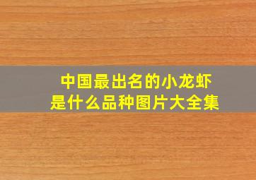 中国最出名的小龙虾是什么品种图片大全集