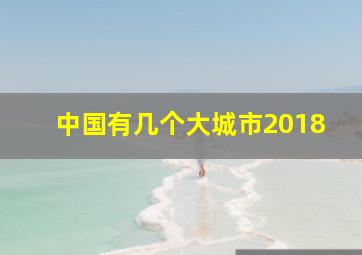 中国有几个大城市2018