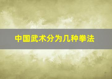 中国武术分为几种拳法