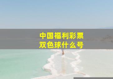 中国福利彩票双色球什么号