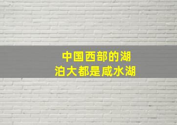 中国西部的湖泊大都是咸水湖