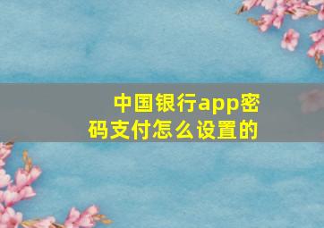 中国银行app密码支付怎么设置的