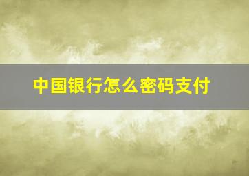 中国银行怎么密码支付