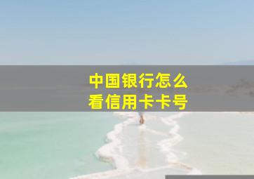 中国银行怎么看信用卡卡号