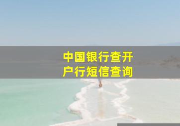 中国银行查开户行短信查询