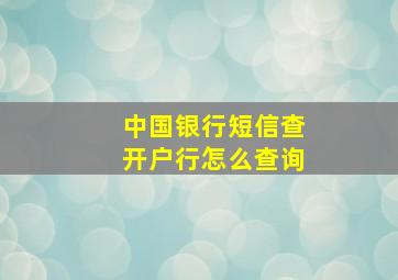 中国银行短信查开户行怎么查询