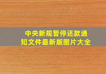 中央新规暂停还款通知文件最新版图片大全