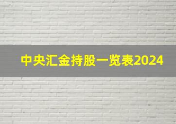 中央汇金持股一览表2024