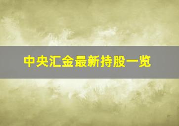 中央汇金最新持股一览