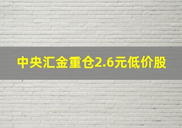 中央汇金重仓2.6元低价股