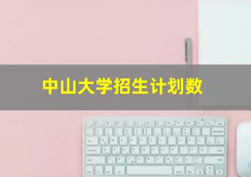 中山大学招生计划数