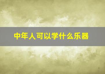 中年人可以学什么乐器